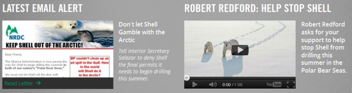 Help Stop Shell